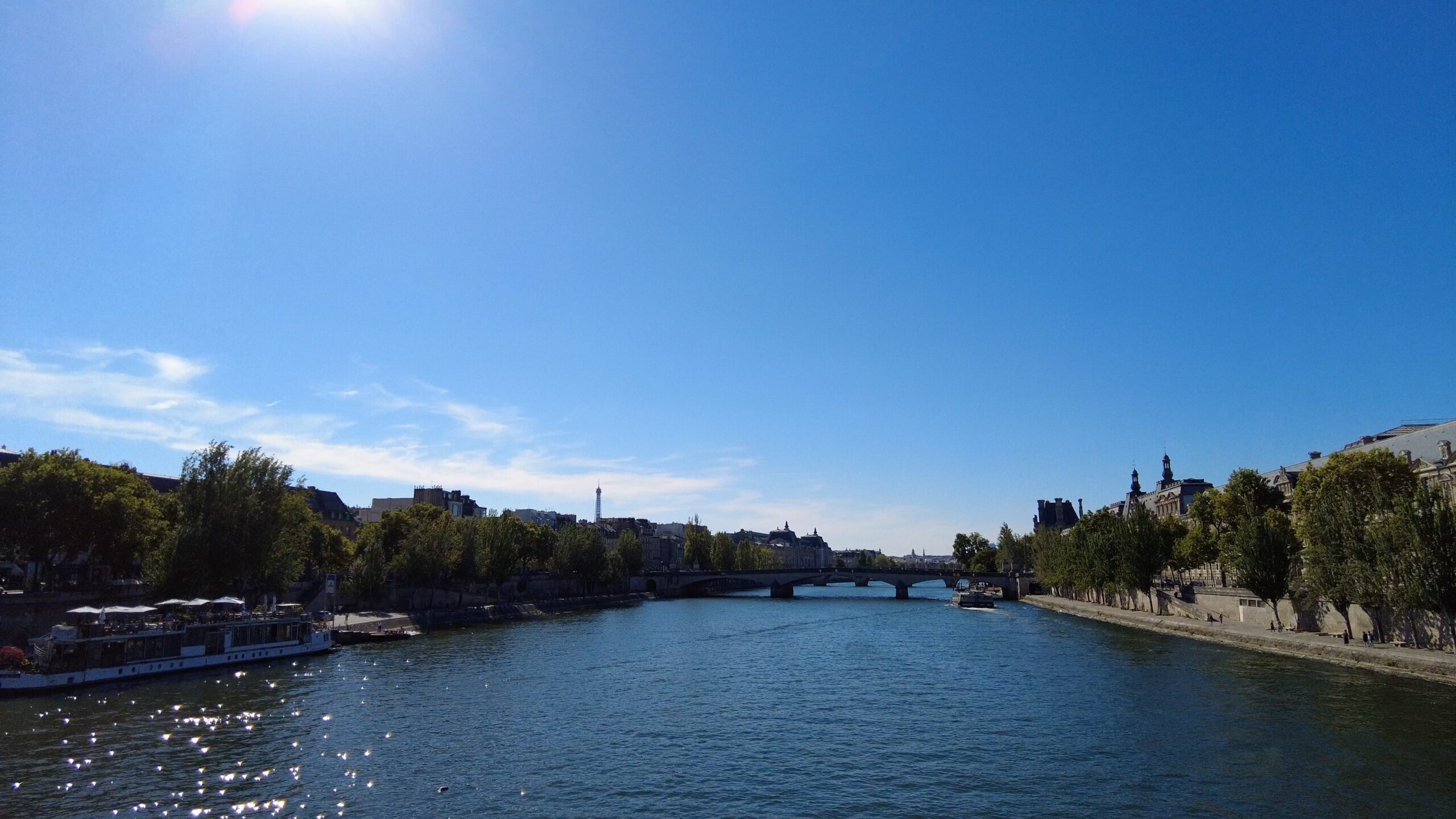 Pont des Arts - Vue Tour Eiffel Walk in Paris Jardin Nelson Mandela Musée du Louvre Thee Guest