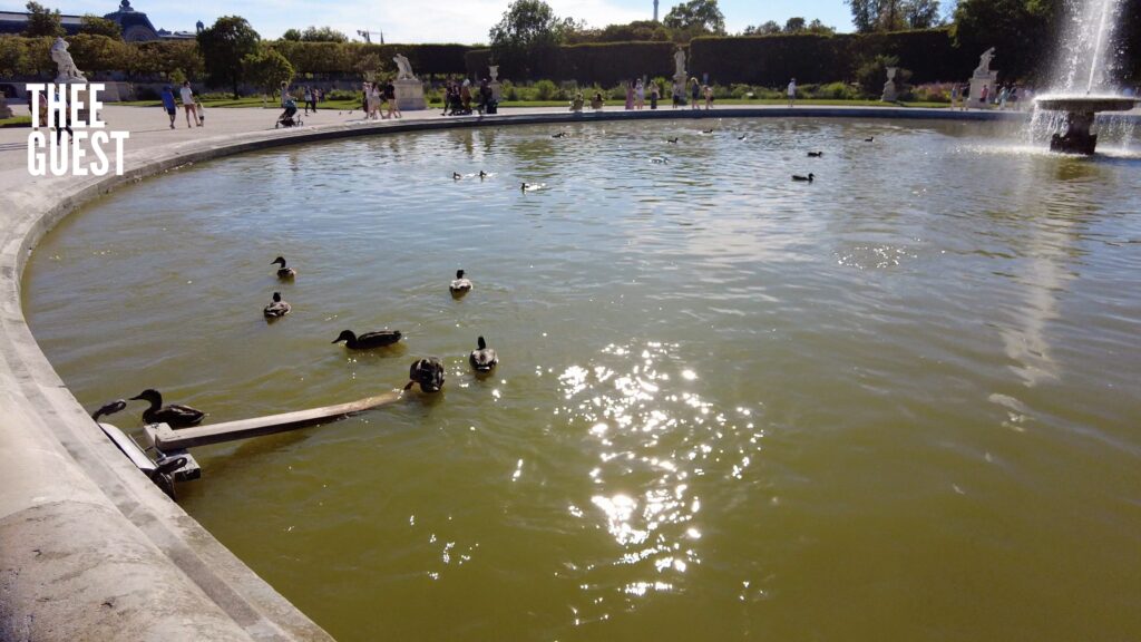 Walk in Paris Arc de Triomphe du Carrousel Tuileries Funfair Grand Bassin Rond with little ducks Thee Guest
